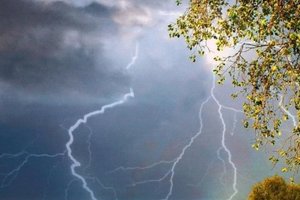 ϳ� ������ ����� ����� �� ������: �� ���������� ������ ������ ����� ����� �����