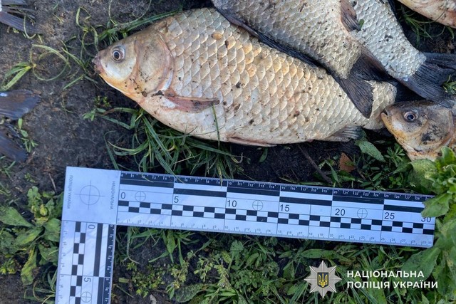 Более 140 тысяч гривен убытков: в Самаре дознаватели сообщили о подозрении браконьеру