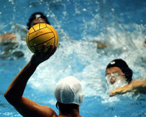 � ���������������� ������ ��������� ������� �� ������� ����