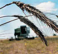 ��������������� ������ ������������ �������� ��������