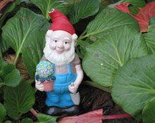 � ����� ���������������� ������� ������