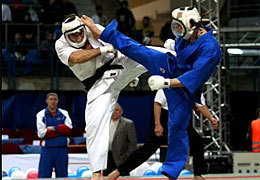 ������� ����������������� ����������