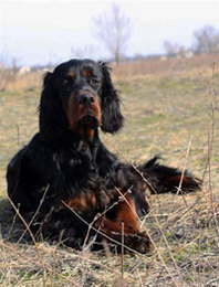 �������� ����� �����! ������� ������!