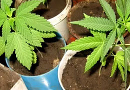 ������ ����������� ��������� ������� � ��������� �� ����