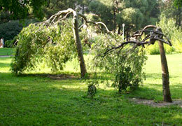 ������������ �������� �� ������� �������� ���� ������ �������� ������