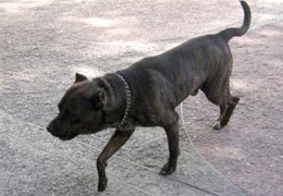 �� ������ ���������������� ���-������ ����������� ����