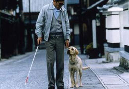 � ���������������� ����� �������� �����-���������