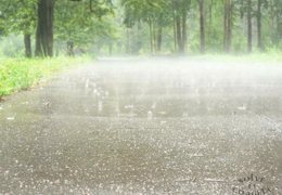 �� ������ ��������� ���� ������ �����������