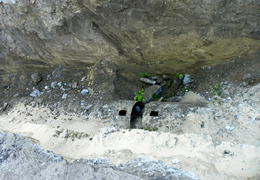 ��������� ��������� ���������� ������