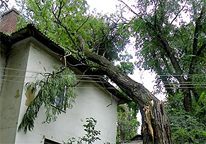 ��������������� ������� � ������������� ��������