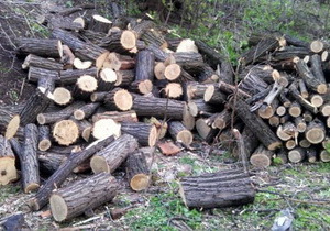 � ���������� ������ ��������� �������� ������ �� 250 000 ������