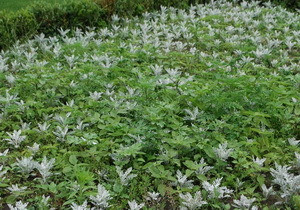 ������������� ������ � ��������� ��������� ���������