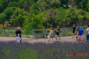 � ������ �� ������������ ������� ������ �������