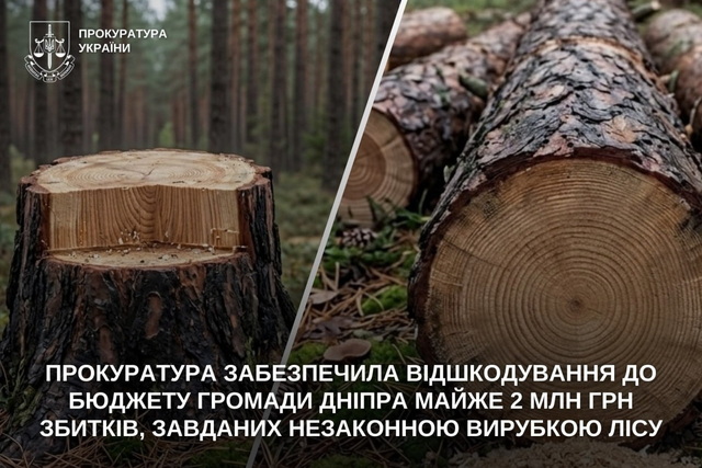 До бюджету Дніпра відшкодували майже 2 млн грн збитків, завданих незаконною вирубкою лісу