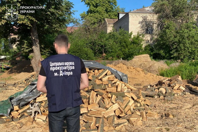 На Дніпропетровщині викрито групу «чорних лісорубів» — двом чоловікам повідомлено про підозру