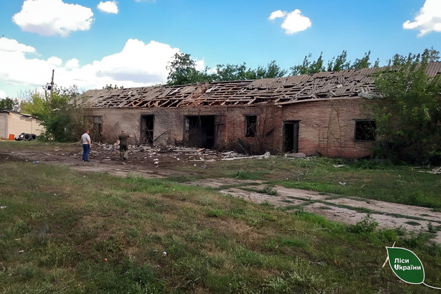 Через війну Дніпропетровщина вже втратила 15 відсотків своїх лісових масивів
