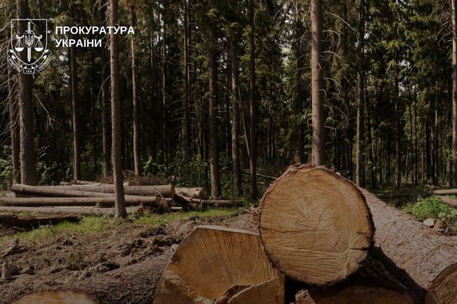 На Днепропетровщине прокуратура через суд взыскала с лесхоза почти 800 тысяч гривен