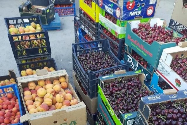 Черешня по 50 грн/кг, огурцы — 30: какие цены на утреннем оптовом рынке возле «Озерки» в Днепре