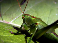 ������� �� ����� � ���������������� ������� ��������� ����������