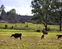 � �������������� ������ � ������� �������� �����