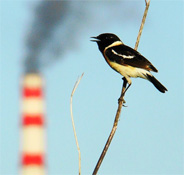 ������������� ����� ����� ���������� � ������� �������� 