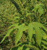 10% ������� ������� �������� �� �������� �� ��������