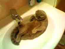 ������� ���� ����!