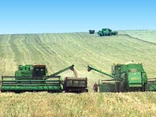 ������� ������ ������������ � ���������� ������