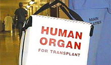 �������� ������� ���� �� ������ 