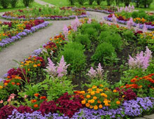 � ������ ���� �� ����������