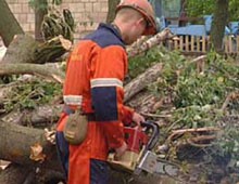 ̳���� ����� ��������� �������� �� ��������� ������� ������