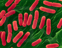 �������� �������������� ��������� ����������