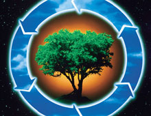 � ���������������� ����� ������� ������������� ������������� ���������