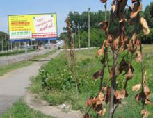 ��������� �� �������� ���������� �� ���������� ��������