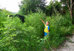 ��� � ���������������� ������� � ���������