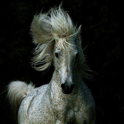 ��������������� ������