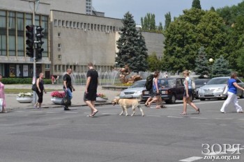 10 ����� ������� ������������ ���������������. �������