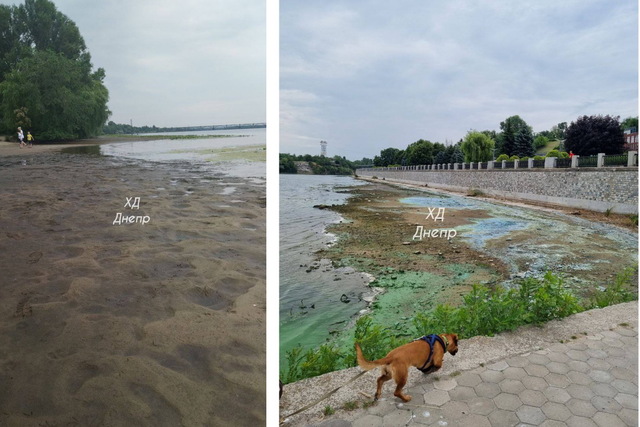 В реке Днепр сильно упал уровень воды