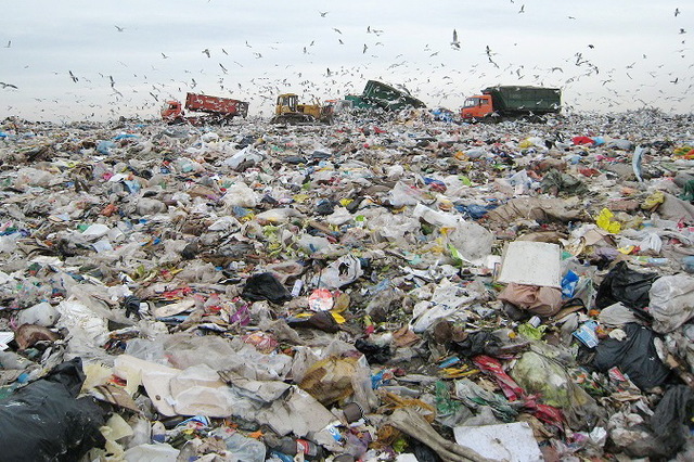 На Днепропетровщине до 2027 года планируют реконструировать 7 мусорных полигонов и внедрить раздельный сбор отходов
