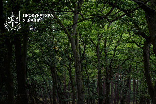 При вмешательстве прокуратуры суд обязал органы местного самоуправления рассмотреть вопрос об отнесении более 1000 га земель к самозалесенным