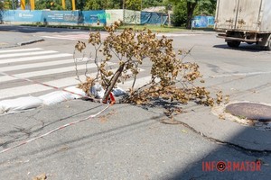 � ������ �� ������ ���� � �������� ������������ �������� ����