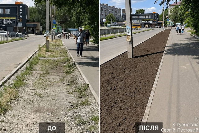 В Днепре появится новая лавандовая аллея