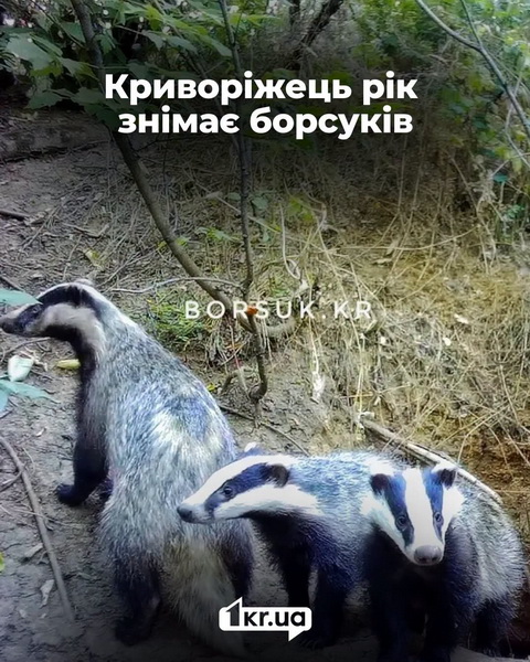 У Кривому Розі виявили нову банду, яка орудує ночами