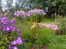 �������������� ������ �������-�����!