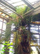 � ��������� ������������ ������� ��������� ������