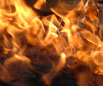 ���� ��������� �������� ������� ����� 