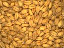 ������ ��������, ����� ����� ������������ � ����� ��� ��������� ��������