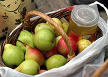 ������� �������� �������� �������� ���� 