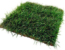 ������ ������� ����������� ������ ������ ��������� ����