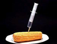 ���������� ����� ������� ������ ��� ����������� ��������� 